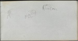 Schetsboek, pagina 20: Dierenstudie