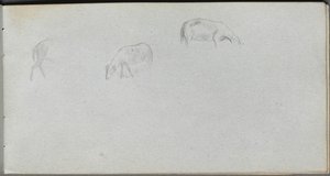 Schetsboek, pagina 20: Dierstudie
