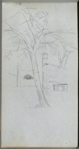 Schetsboek, pagina 36: Boom Studie