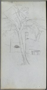 Schetsboek, pagina 36: Boomstudie