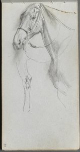 Schetsboek, pagina 55: Studie voor een paard