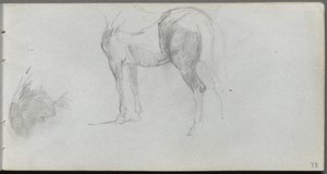 Schetsboek, pagina 73: Studie van een paard, profiel