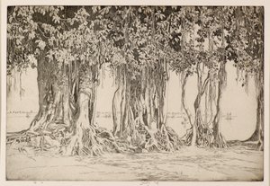 De Banyanboom door Ernest Stephen Lumsden