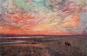 Het Campo