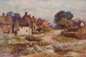 "Beggarly Broom" door Ernest William Haslehust