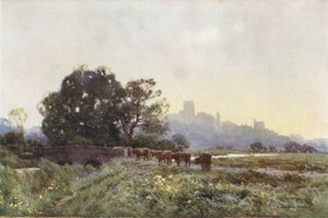 Dorchester vanuit de Weiden (kleur litho)