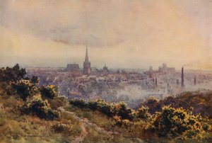 Norwich vanaf Mousehold Heath door Ernest William Haslehust