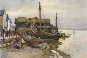 De Exe bij Topsham (kleur litho)