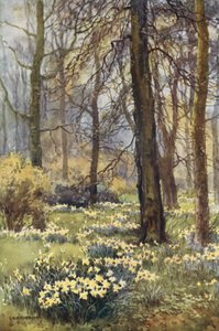 De Wildernis in de Lente door Ernest William Haslehust