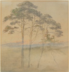 Pijnbomen in een ochtendmist door Ernst Ferdinand Oehme