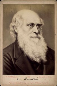 Charles Darwin, Britse natuuronderzoeker door Ernst Hader
