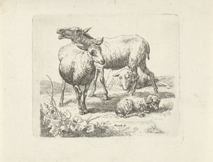 Drie schapen en een lammetje in een weide door Ernst Ludwig Creite