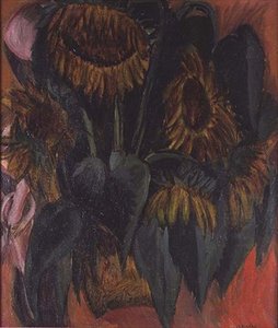Zonnebloemen