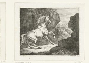 Stuiterende witte hengst