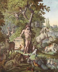 Adam in de Hof van Eden (kleurenlitho)