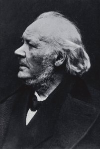 De illustrator Honore Daumier door Etienne Carjat