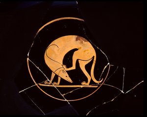 Attische roodfigurige beker van hond die zijn oor krabt met een achterpoot, binnen tondo, 5e eeuw v.Chr. door Euergides painter