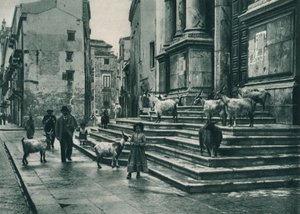 Geiten op de trappen van de Kathedraal, Palermo, Sicilië, Italië, 1927