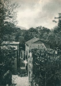 Smal straatje, Capri, Italië