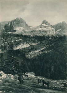 Uitzicht op de Brenta-groep met alpenweide, Madonna di Campiglio, Dolomieten, Italië