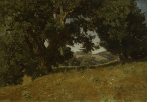 Landschap door Eugene Bléry