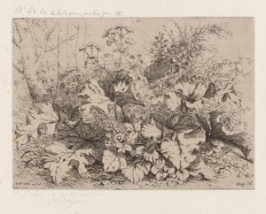Klis in Bloei door Eugene Bléry
