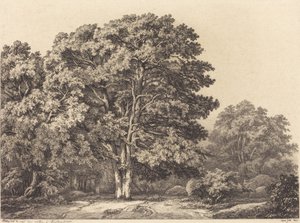 Ingang van een bos door Eugene Bléry