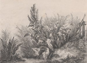 Grote waterzuringplant, 1840