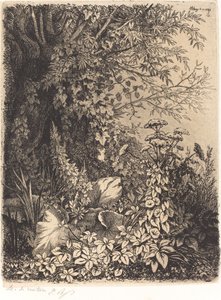 La bardane au saule door Eugene Bléry
