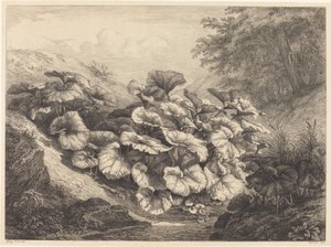Grote Hoefblad door Eugene Bléry