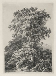 Studies Getekend en Gegraveerd naar de Natuur: Het Strand, Fontainebleau (Études dessinées et Gravées D