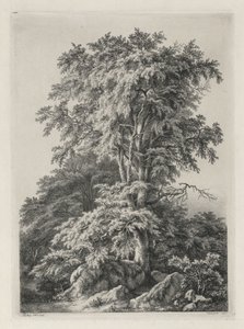 Studies getekend en gegraveerd naar de natuur: Het strand, Fontainebleau..., 1840 door Eugene Bléry