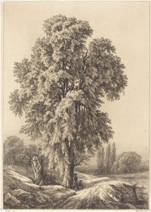 De Iep, 1840