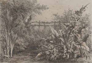 De Vijver door Eugene Bléry