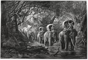 Op weg naar het bos, de expeditie reist op de rug van een olifant. Gravure door Eugene Burnand, ter illustratie van het verhaal "Reis in Boven-Laos", in 1880, door Dr. P.Neis. Gepubliceerd in Le Tour du monde, nouveau journal des voyages, 2e semester 18 door Eugene Burnand