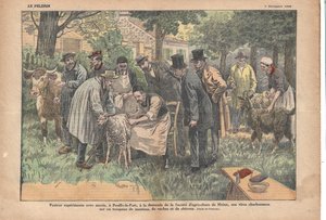 In Pouilly-le-Fort, op verzoek van de Melun Landbouwvereniging, testte Pasteur met succes zijn miltvuurvirus op een kudde schapen, koeien en geiten., Le Pèlerin, 5/11/1922