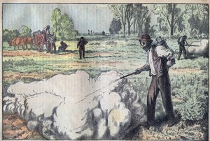 De vernietiging van de muizen (Apodemus) door verstikkend gas in de dageraad - gravure door Damblans - le-pelerin van 1923 door Eugene Damblans