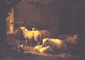 Schapen en gevogelte in een schuur door Eugene Joseph Verboeckhoven