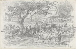 Herders en vee