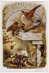 Frontispice uit Natuurlijke geschiedenis van vogels die nestelen in Lombardije (Chromolithografie)