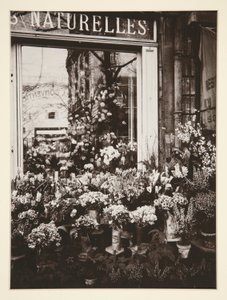 Bloemenwinkel
