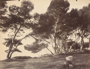 Cannes, Ile Saint Honorat