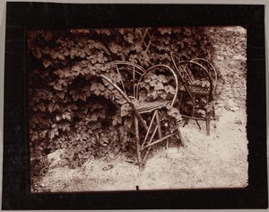 Hop door Eugène Atget
