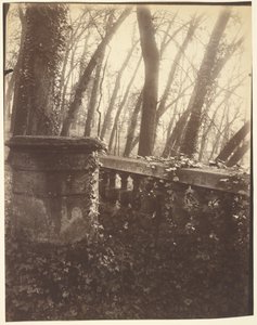 Saint-Cloud Park, Parijs