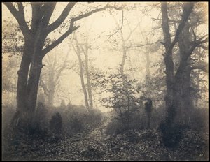 Fontainebleau. Bos bij Barbizon, ca. 1860 door Eugène Cuvelier