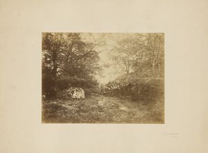 [Landschapsstudie]