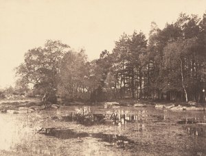 Moeras bij Piat (Belle-Croix Plateau)