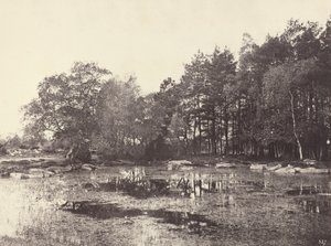 Moeras bij Piat Belle-Croix Plateau, ca. 1863