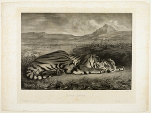 Bengaalse tijger door Eugène Delacroix