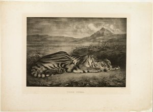 Bengaalse Tijger door Eugène Delacroix
